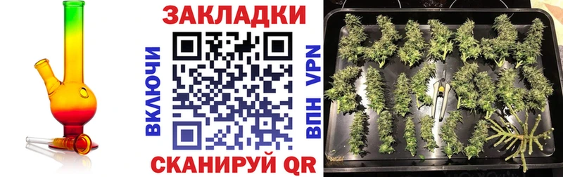 Купить закладку Гашиш  A-PVP  Амфетамин  Бошки Шишки  Меф  Сосновка