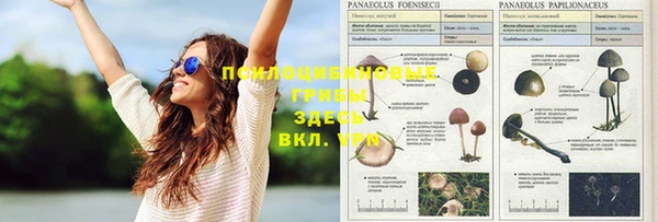 тгк Зерноград