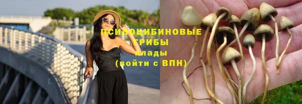 тгк Зерноград