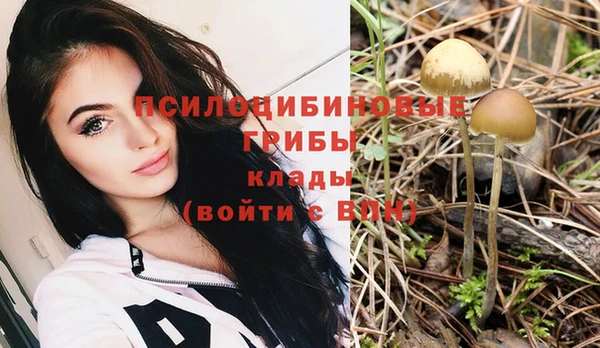 тгк Зерноград